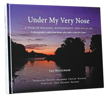 Under My Very Nose Book